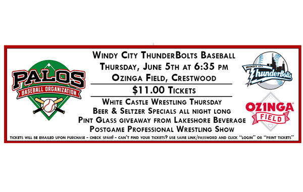 Thunderbolts Game 